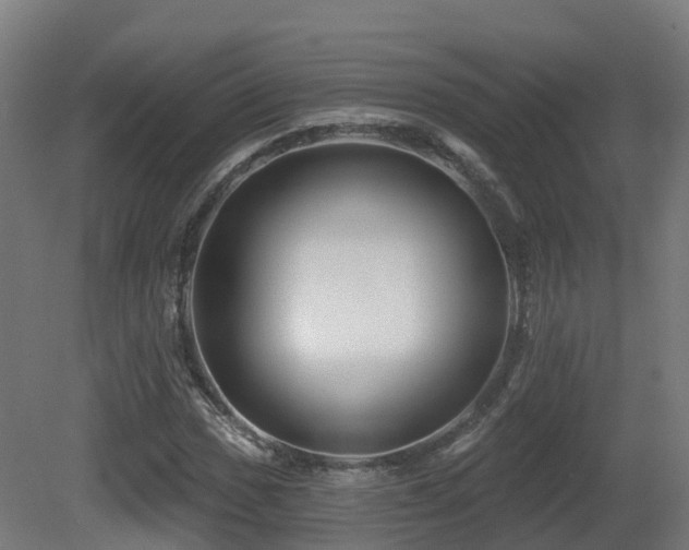 X0000081421017200701121230
