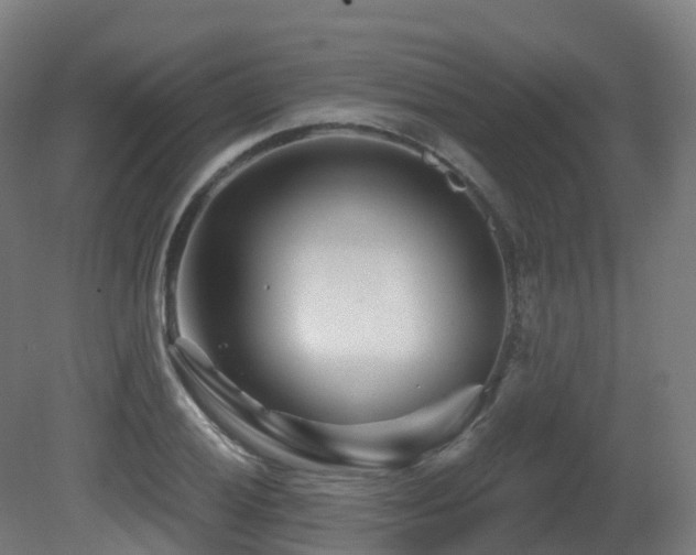 X0000081421028200701121230