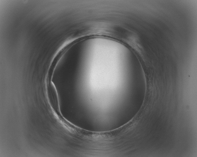 X0000081421032200701121230