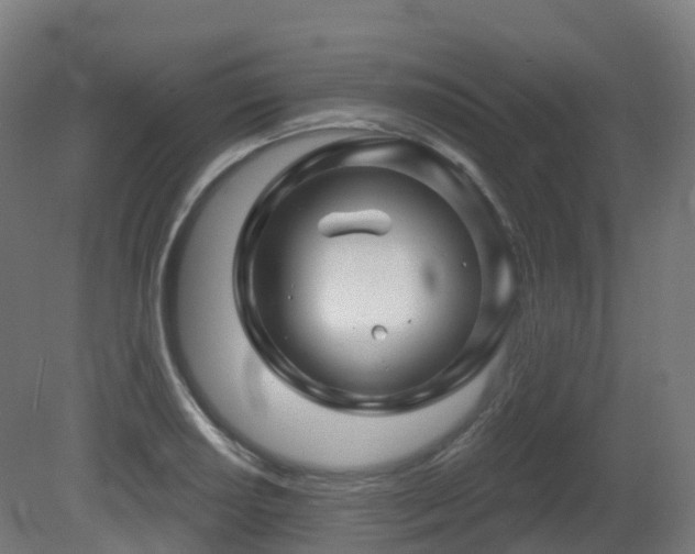 X0000081421034200701121230