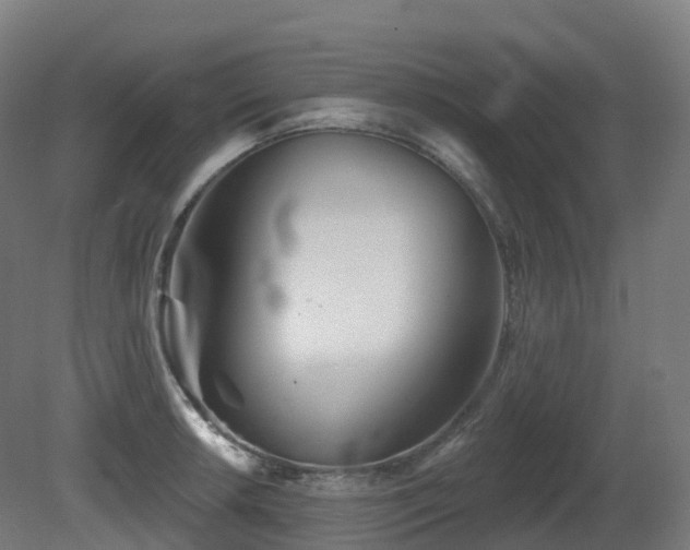X0000081421042200701121230
