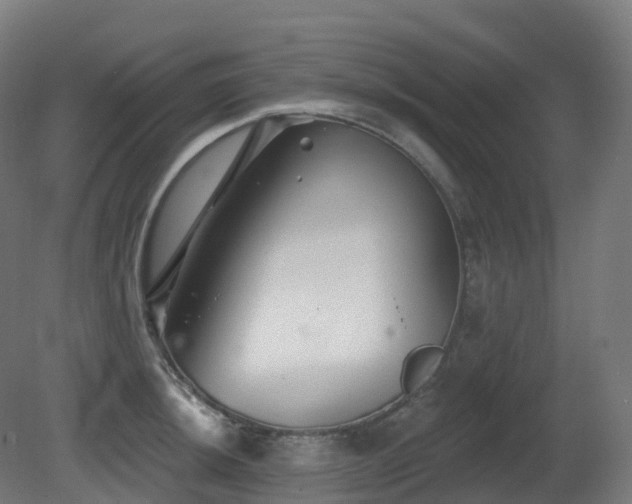 X0000081421044200701121230