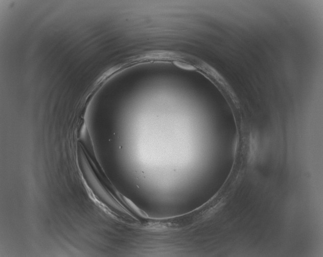 X0000081421049200701121230