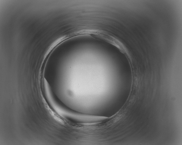 X0000081421050200701121230