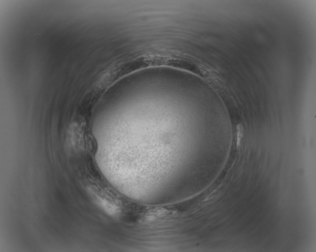 X0000081421059200701121229