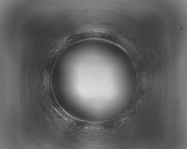 X0000081421061200701121229