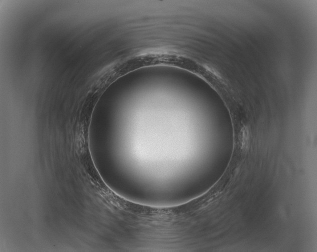 X0000081421062200701121229