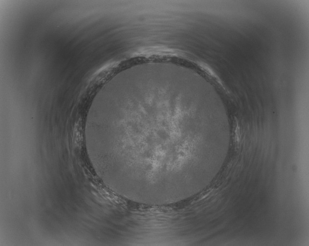 X0000081421063200701121229