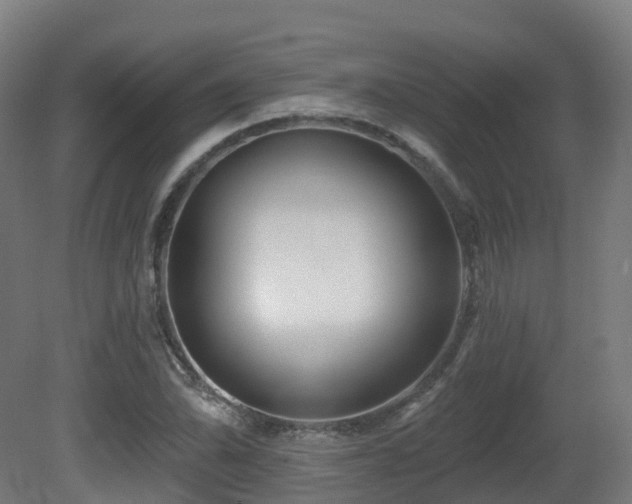 X0000081421070200701121229