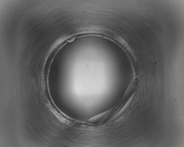 X0000081421072200701121229