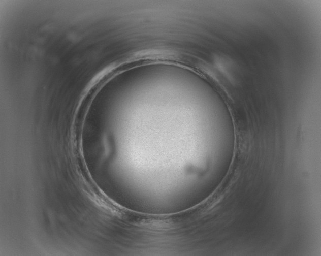 X0000081421074200701121229