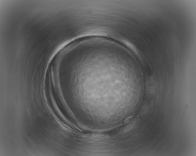 X0000081421077200701121229