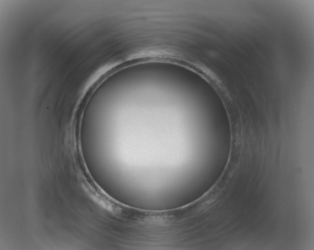 X0000081421078200701121229