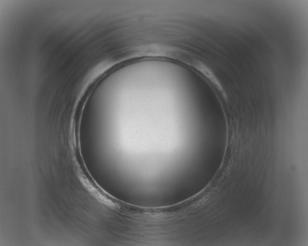 X0000081421080200701121229
