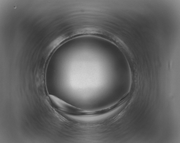 X0000081421081200701121229