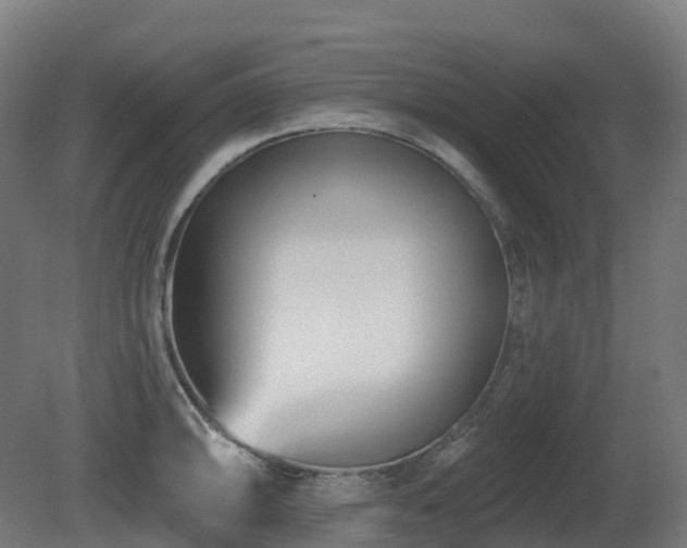 X0000081421094200701121229