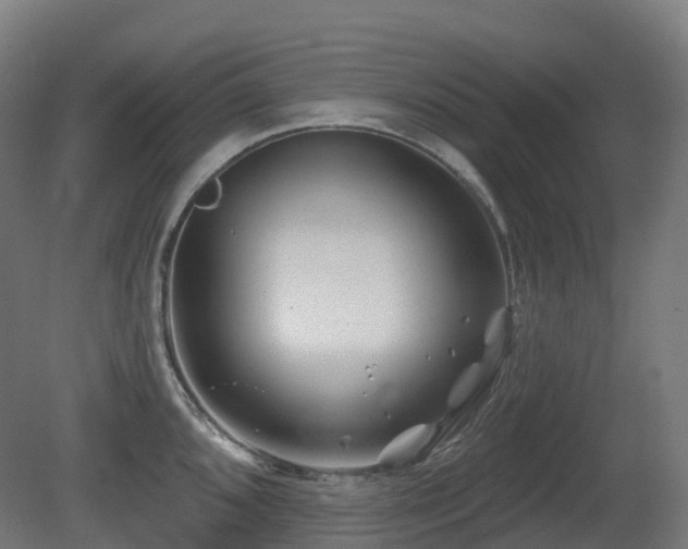 X0000081421096200701121229
