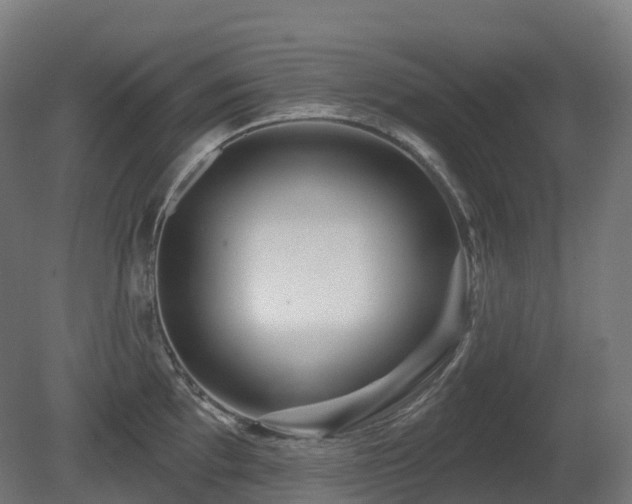 X0000081421097200701121229