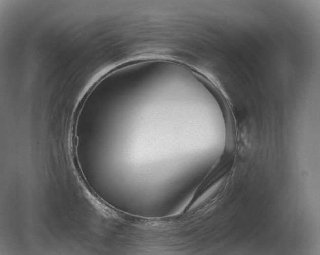 X0000081421101200701121229