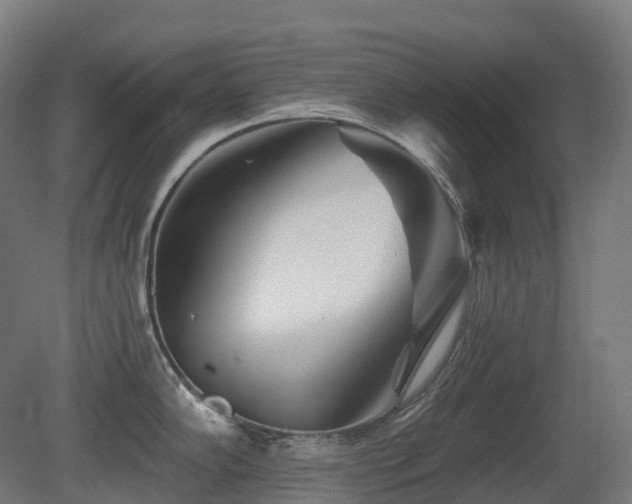 X0000081421102200701121229