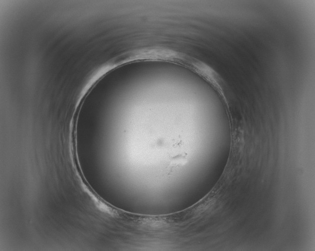X0000081421103200701121229