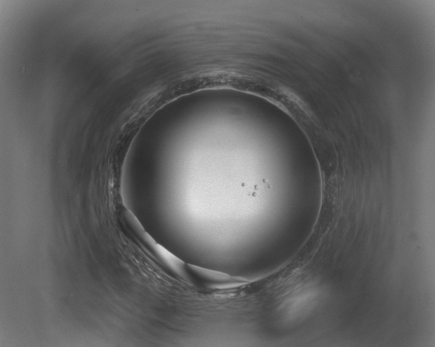 X0000081421111200701121228