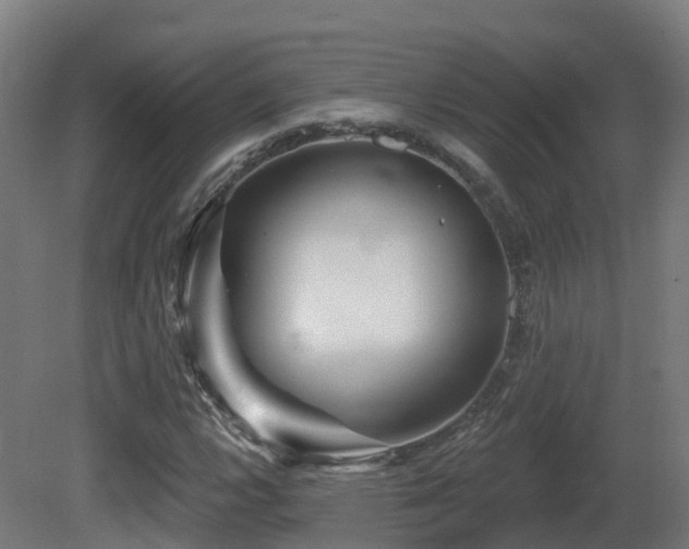X0000081421112200701121228