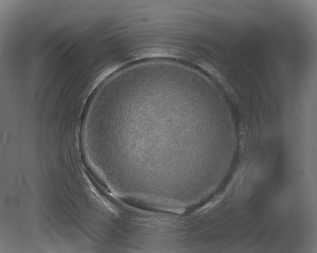 X0000081421121200701121228