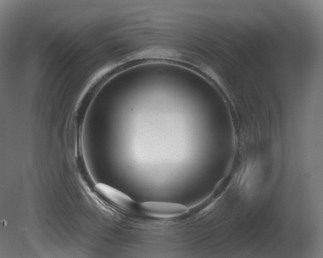 X0000081421123200701121228