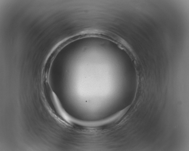 X0000081421124200701121228