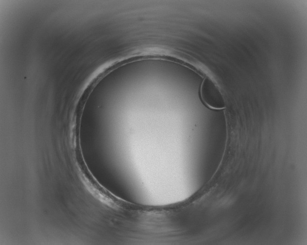 X0000081421126200701121228