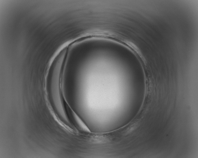 X0000081421128200701121228