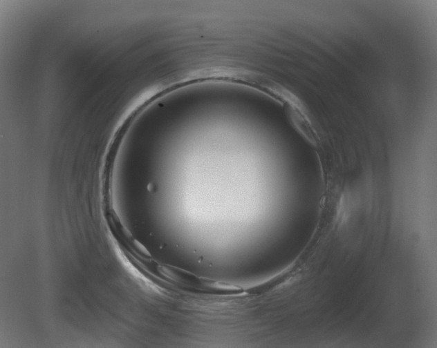 X0000081421135200701121228