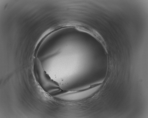 X0000081421138200701121228