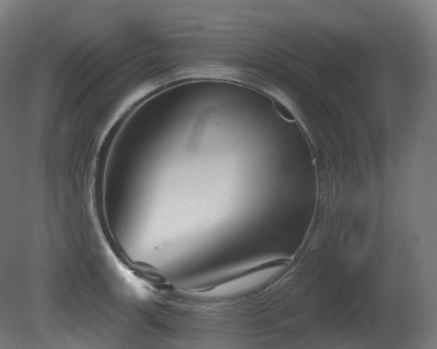 X0000081421139200701121228
