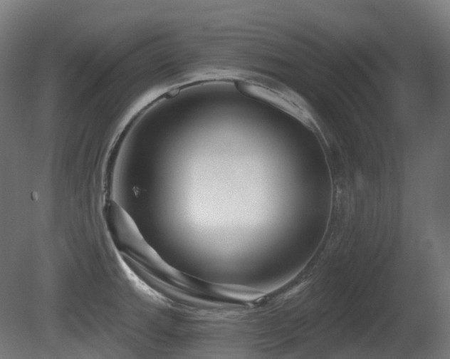 X0000081421143200701121228