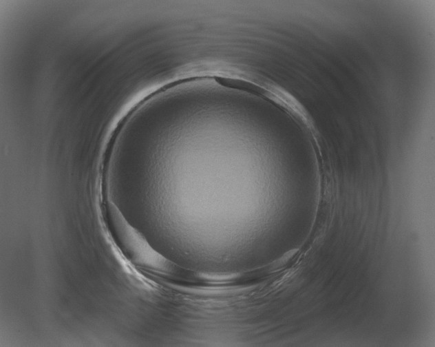 X0000081421144200701121228