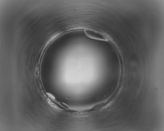 X0000081421145200701121228