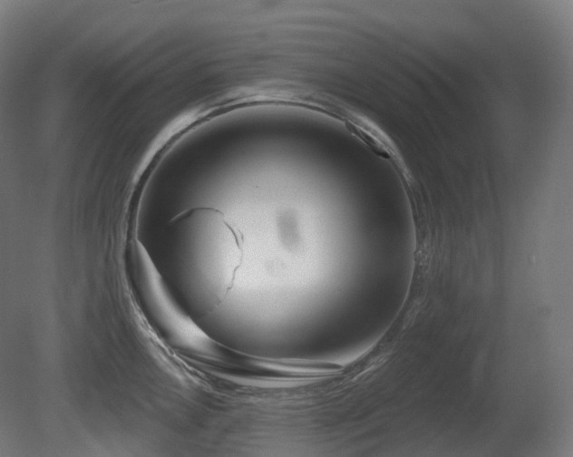 X0000081421146200701121228