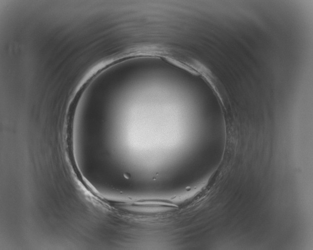 X0000081421147200701121228