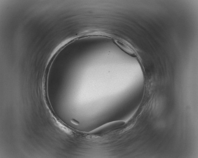 X0000081421149200701121229
