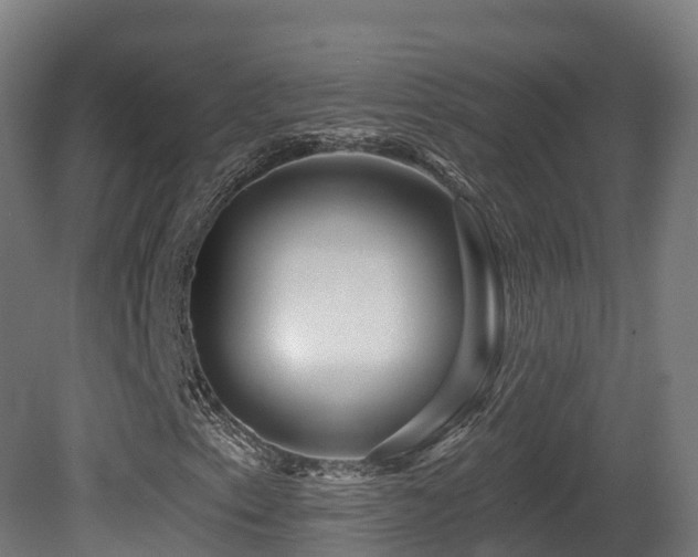 X0000081421153200701121228