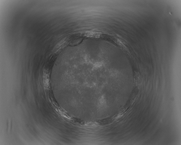 X0000081421154200701121228