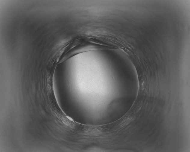 X0000081421156200701121228