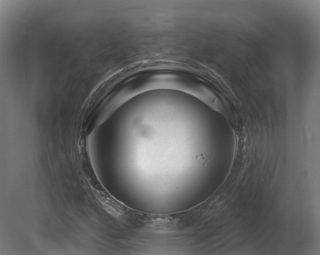 X0000081421160200701121228