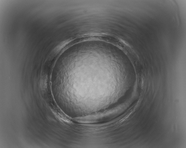 X0000081421161200701121228