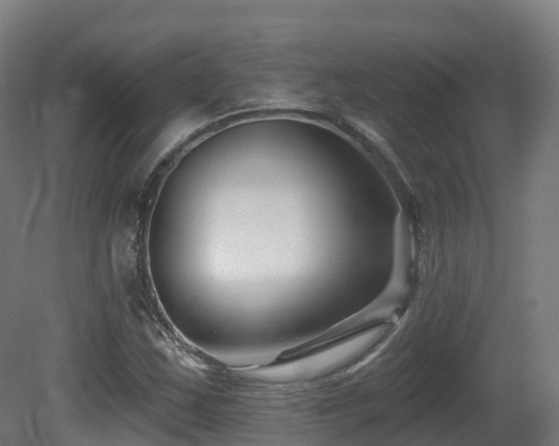 X0000081421163200701121228