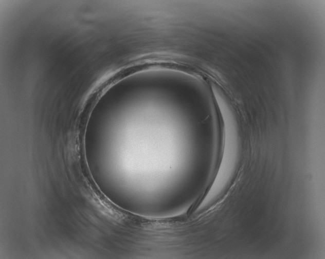 X0000081421164200701121228