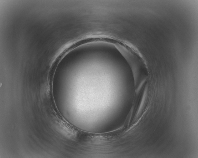 X0000081421167200701121228