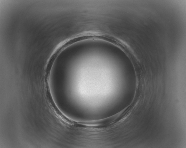 X0000081421168200701121227
